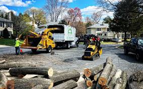 Best Hazardous Tree Removal  in Pinehurst, ID