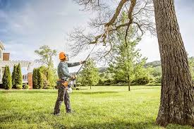 Best Organic Lawn Care Solutions  in Pinehurst, ID