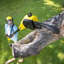 Best Utility Line Clearance  in Pinehurst, ID
