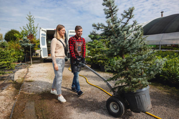 Best Tree Trimming and Pruning  in Pinehurst, ID